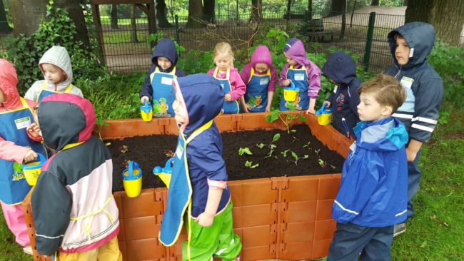 20160613_101958_resized