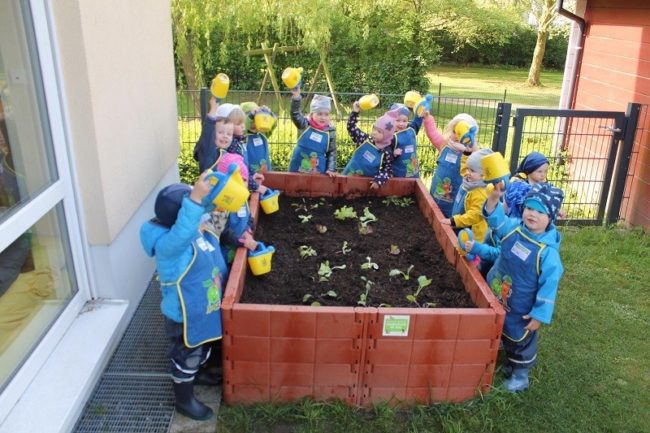 Hagen Gemüsebeet für Kids 2019
